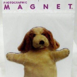 Dog Puppet Flat Magnet Photographic New In Pack Front