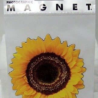 Sunflower Photographic Flat Magnet New In Pack Front