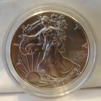 United States Mint American Eagle 2013 Silver Dollar Coin Unc Obverse