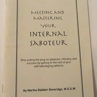 Meeting And Mastering Your Internal Saboteur Front