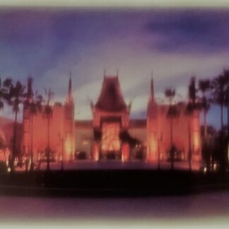 Disney Chinese Theater Postcard MGM Studios New Front