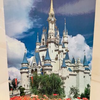 WDW Cinderella Castle Postcard MK New Front