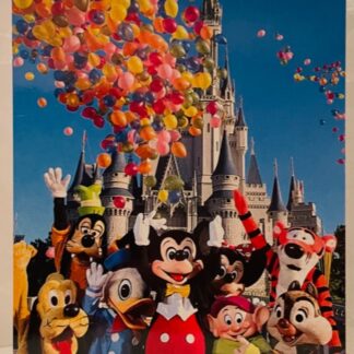 WDW Magic MK Postcard New Front