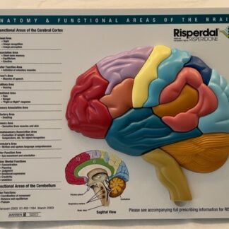 Risperdal Brain Model Puzzle Front