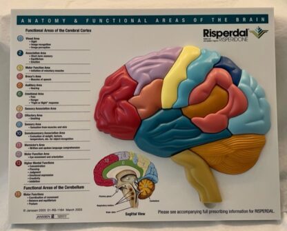 Risperdal Brain Model Puzzle Front