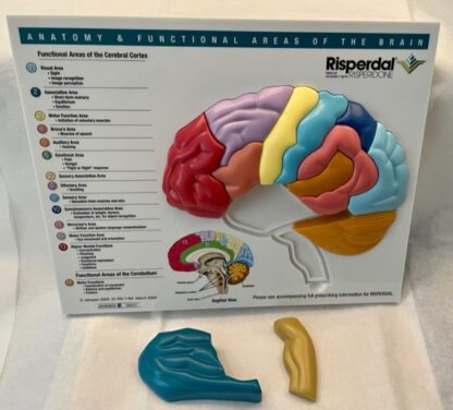 Risperdal-Brain-Model-Puzzle-Front-Showing-Puzzle-Parts-Removed.