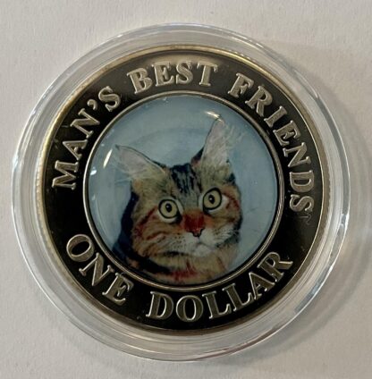 British Shorthair Cat Coin Cook Islands Front